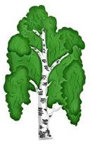 https://avatars.mds.yandex.net/i?id=2760e458010ceaaa9e49ad37b917d64967df757d-12616328-images-thumbs&n=13