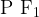\rm P\ F_1