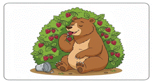 IMG_3046.png