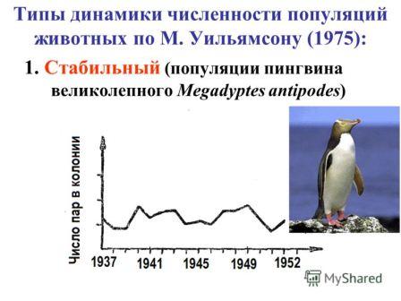 https://xn--j1ahfl.xn--p1ai/data/images/u144886/t1515656035ab.jpg