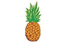 https://img2.freepng.ru/20180405/fcq/kisspng-juice-pineapple-fruit-salad-homero-5ac6d9ae81c7a3.5728172515229812945316.jpg