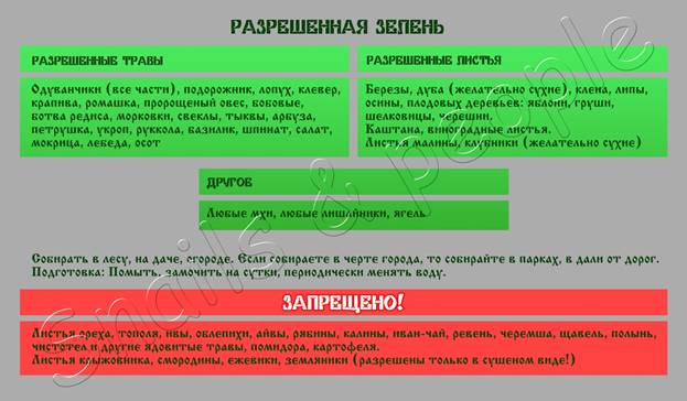 разрешенная зелень.jpg