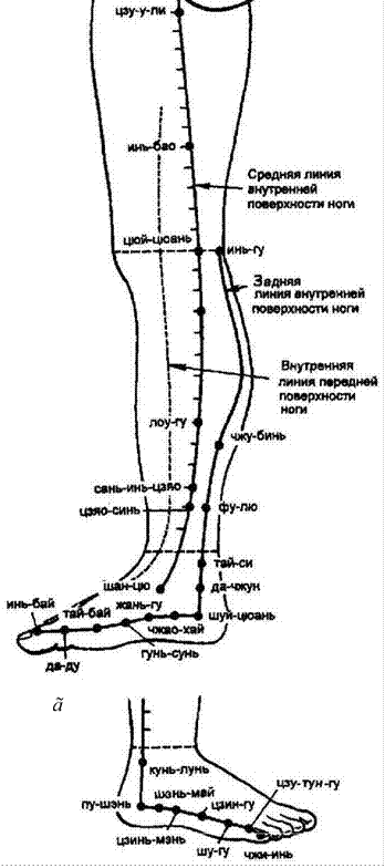 Внешняя линия. Цюй-цюань точка акупунктуры. Линии на ногах. Топография точек на ногах. Точка на внутренней поверхности голени.