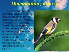 https://sun9-81.userapi.com/impg/dLOUhG9nyAHP5mh2tc_p0zz7Y52cjjYymoxbMA/S6cOJ_C0gT4.jpg?size=1024x767&quality=96&sign=0b729a165c9933047ceca654617cd59b&type=album