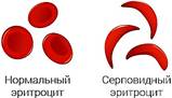 https://static-interneturok.cdnvideo.ru/content/static_image/363507/content_50345ccdf82cb5f88b58adb23c3ab2ee.jpg