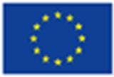 European Flag