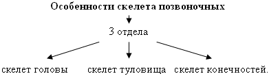 http://festival.1september.ru/articles/598964/img4.gif