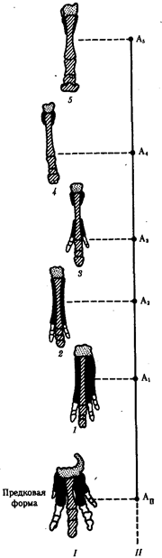 https://studfile.net/html/1319/244/html_F6aCtvrRtw.0gLZ/img-raS0NC.png