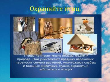 https://sun9-36.userapi.com/impg/8j3Fn0vipFjCCr4CG6DBUk3q-gIuQ5yyx1G4Ng/dlN6S6trQ7k.jpg?size=1024x767&quality=96&sign=3c0004776a96f0be84862da42a5d9739&type=album