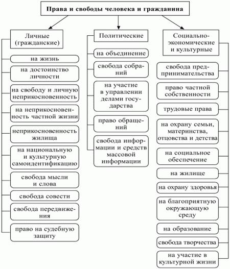 Заполните схему права человека