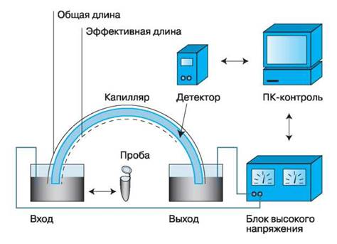 Схема капиллярного электрофореза