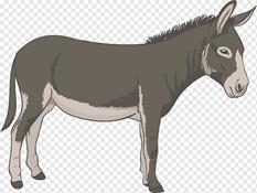 https://w7.pngwing.com/pngs/568/528/png-transparent-donkey-illustration-donkey-donkey-horse-mammal-animals.png