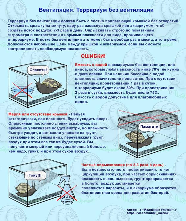 вентиляция.jpg