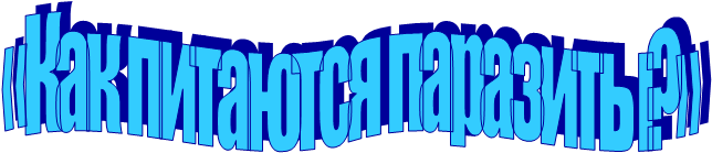 «Как питаются паразиты?»