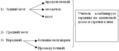 https://arhivurokov.ru/kopilka/up/html/2016/12/23/k_585d2f8acc8d4/372772_1.png