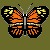обуч%20HTML/bfly.jpg