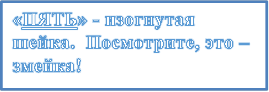 «ПЯТЬ» - изогнутая шейка.  Посмотрите, это – змейка!

