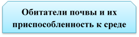 Обитатели почвы и их приспособленность к среде обитания