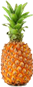 https://www.allmychefs.com/images/1293/1200-auto/ananas.jpg?poix=50&poiy=50