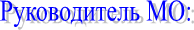 Руководитель МО: 