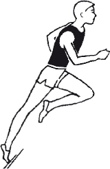http://spo.1september.ru/2005/18/13-18.jpg