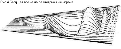 Основы психоакустики (Интересные особенности психоакустики)