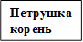Петрушка корень
