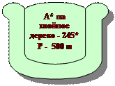 Зарезервировано: А* на хвойное дерево - 245*
Р -  500 м
