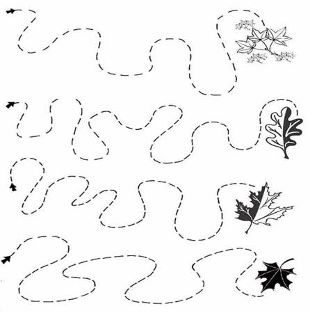 https://avatars.mds.yandex.net/get-pdb/1822443/249d4ac9-d351-4803-b50c-225ac3f83112/s1200?webp=false