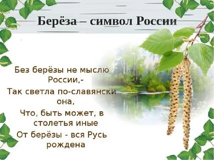 Описание презентации по отдельным слайдам 