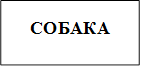 СОБАКА