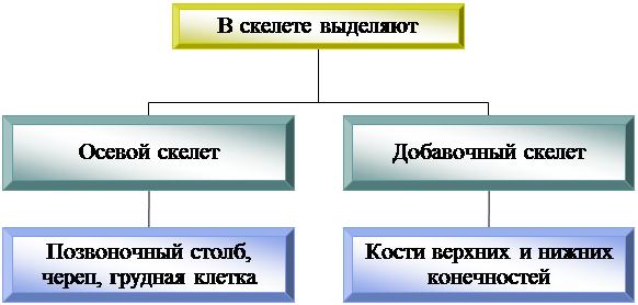 Организационная диаграмма