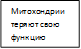 Митохондрии теряют свою функцию