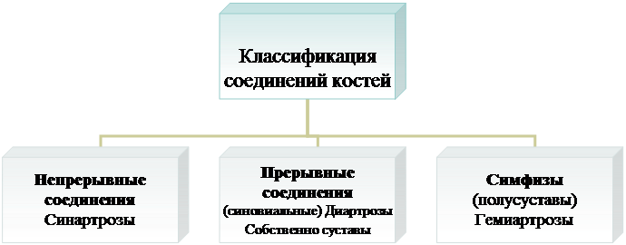 Организационная диаграмма
