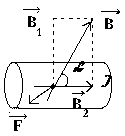 ris19