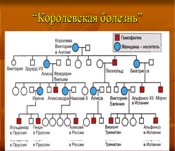 https://pandia.ru/text/80/366/images/image010_8.gif