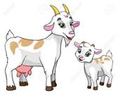 https://previews.123rf.com/images/katrinahappy/katrinahappy1401/katrinahappy140100003/24916299-goat-and-kid-vector-illustration-on-white-background-Stock-Photo.jpg