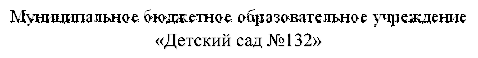 Муниципальное бюджетное образовательное учреждение 
«Детский сад №132»
