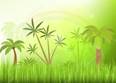 https://st.depositphotos.com/2366719/2561/v/950/depositphotos_25619337-stock-illustration-tropical-forest-jungle.jpg