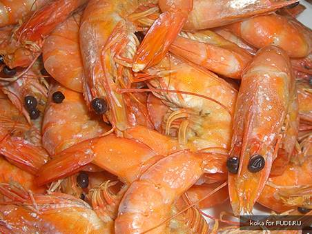 shrimps_8.jpg