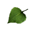 http://img-fotki.yandex.ru/get/25/131624064.104/0_7ab02_7fa1206e_XL