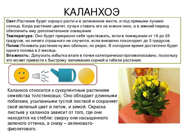 http://i.mycdn.me/i?r=AzEPZsRbOZEKgBhR0XGMT1RkGnWOwqg_5UDycaiWq-XGPaaKTM5SRkZCeTgDn6uOyic