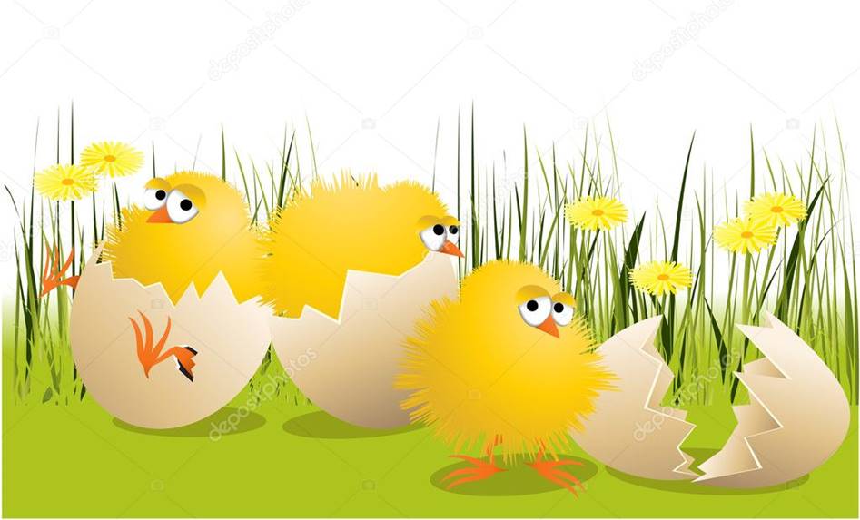 https://static5.depositphotos.com/1006512/505/v/950/depositphotos_5050064-stock-illustration-easter-chickens.jpg