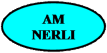 Овал: AM  
NERLI
