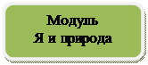 Скругленный прямоугольник: Модуль
Я и природа

