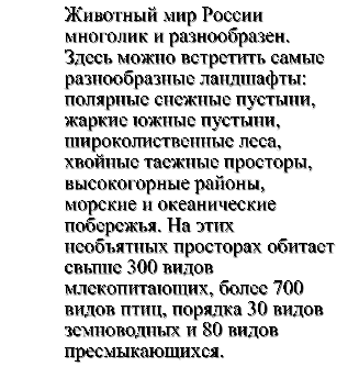 Животный мир России многолик и разнообразен. Здесь можно встретить самые разнообразные ландшафты: полярные снежные пустыни, жаркие южные пустыни, широколиственные леса, хвойные таежные просторы, высокогорные районы, морские и океанические побережья. На этих необъятных просторах обитает свыше 300 видов млекопитающих, более 700 видов птиц, порядка 30 видов земноводных и 80 видов пресмыкающихся. 