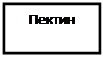 Надпись: Пектин 
