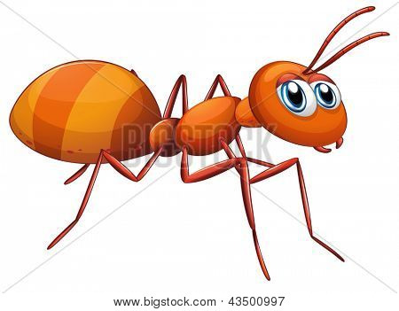 http://static2.bigstockphoto.com/thumbs/5/3/4/large2/43500997.jpg