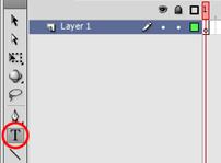dynamic text Flash