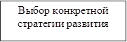 Выбор конкретной стратегии развития